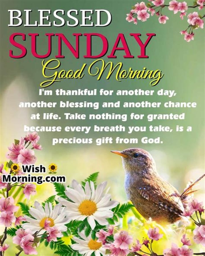 A Blessed Sunday: A Message Of Hope, Love, And Renewal