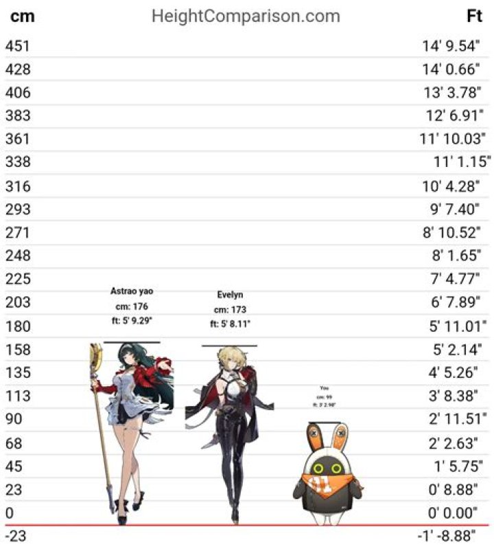 All About Evelyn Height | Height, Info, And More