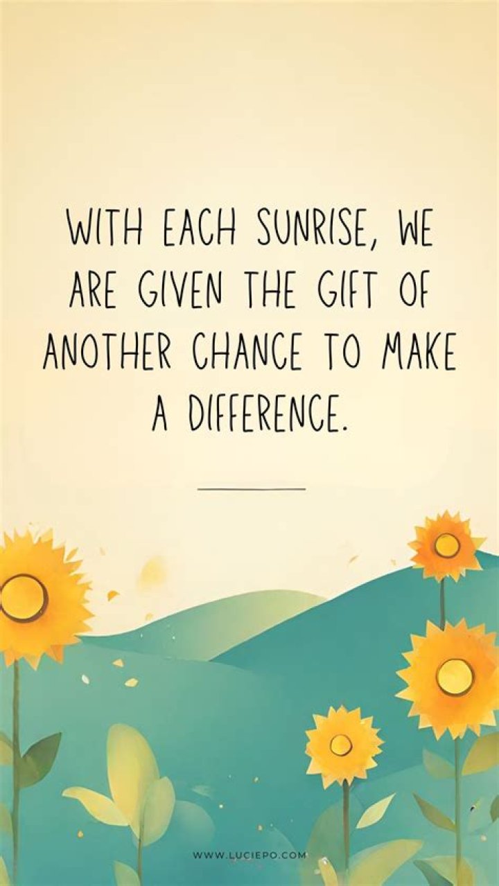 Amusing Daily Ponderings: Quirky Thoughts To Brighten Your Day