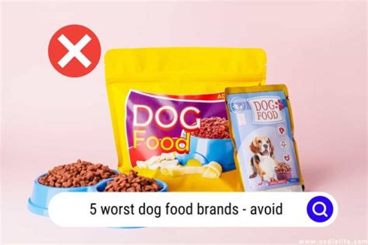 Beware! The Absolute Worst Dog Food Brands To Avoid