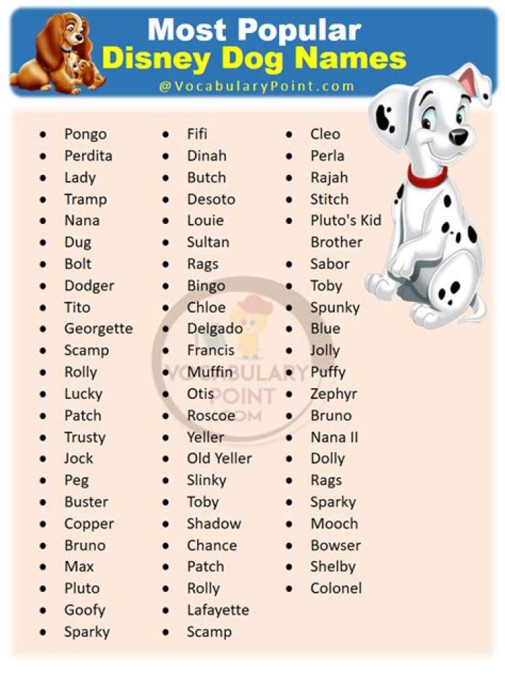 Boy Dog Names Inspired By Pixar Movies: A Comprehensive Guide