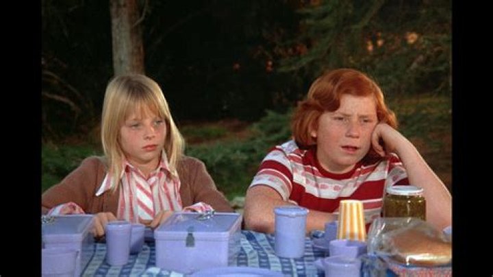 Danny Bonaduce Movies And TV Shows: A Comprehensive Guide