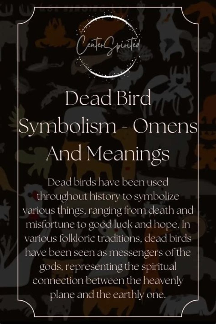 Deadly Omen: Birds That Portend Death