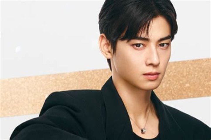 Did K-Pop Star Cha Eun Woo Tie The Knot? Unraveling The Marriage Rumors