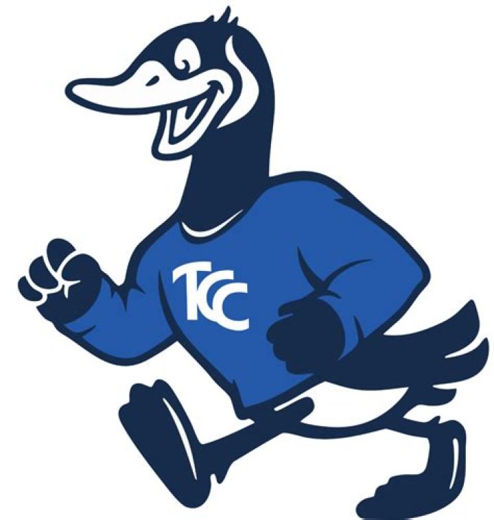 Did The Beloved Mascot Goose Pass Away In Reality?