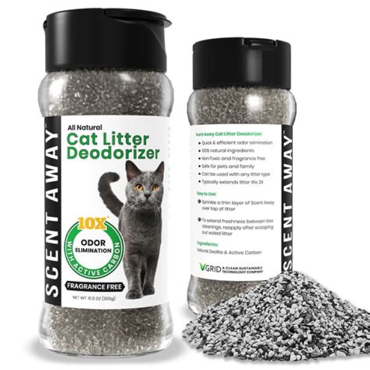 Discover The Best Cat Litter: Your Guide To Odor Control And Feline Comfort