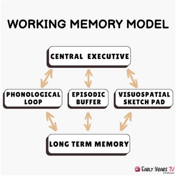 Discoveries In Memory Research: Unlocking Insights From Richell Baddeley