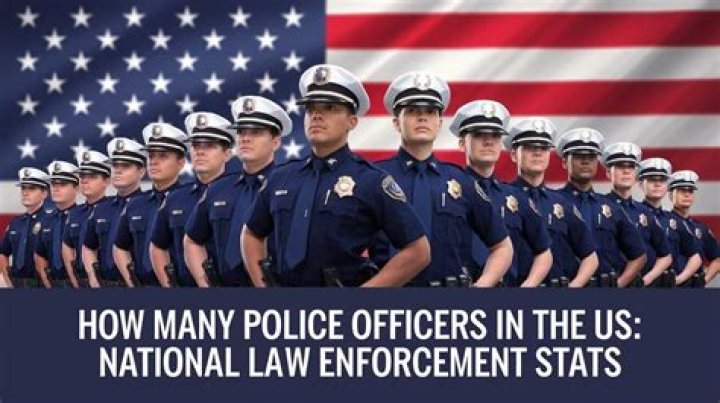 Essential Guide To Policing: Uncovering The Role Of Law Enforcement