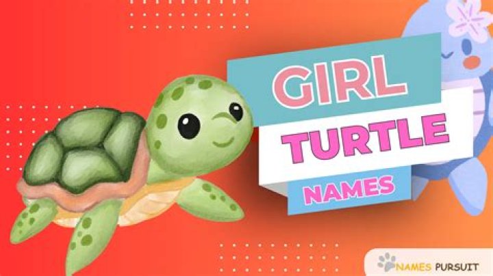 Exclusive Girl Turtle Names: Unleash Your Creativity