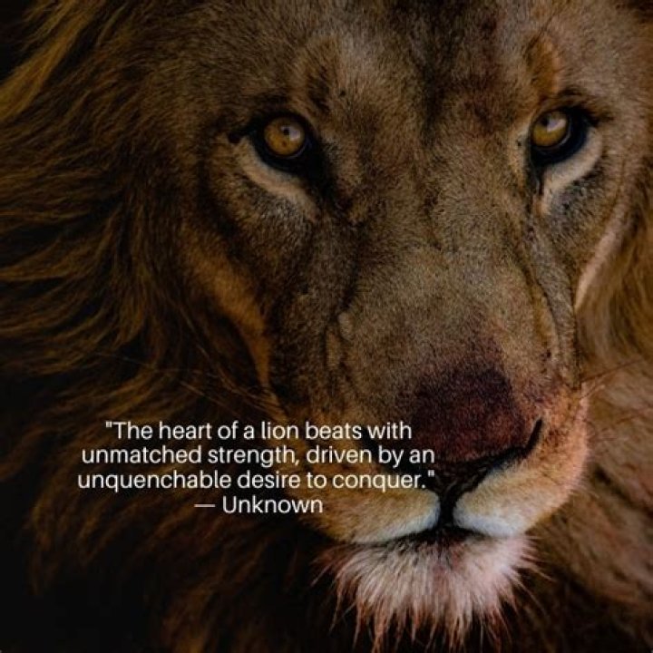 Explore The Bond: Inspiring Lion And Lioness Quotes