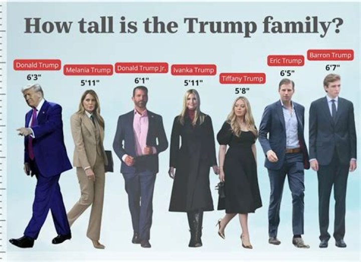 Gabriel Macht's Impressive Height: How Tall Is The Actor?
