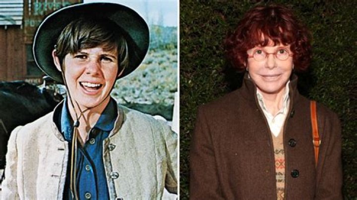 Guide To Kim Darby: Iconic Actress And Her Notable Performances
