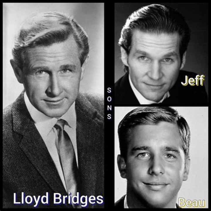 Lloyd Bridges And Sons: A Hollywood Legacy Of Acting Excellence