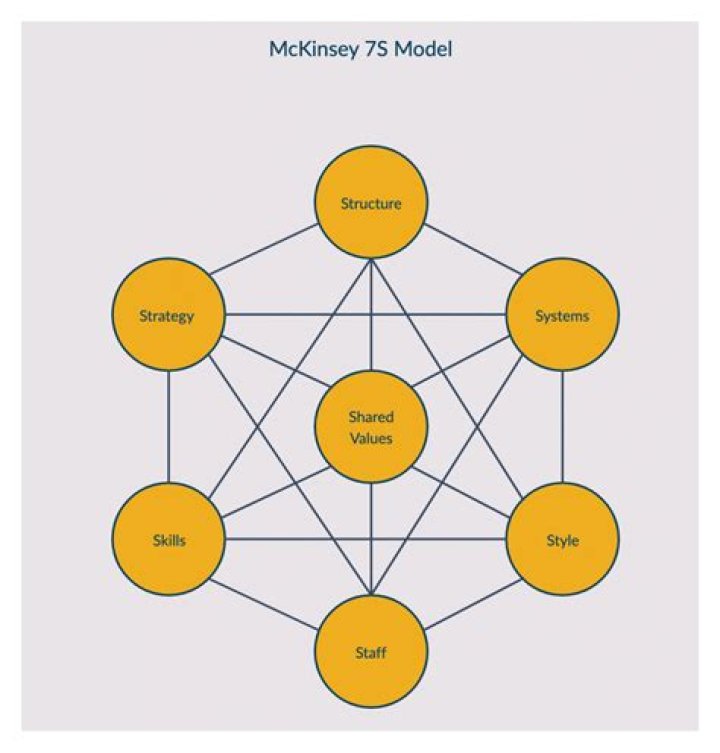 McKinsey Richardson: A Comprehensive Guide