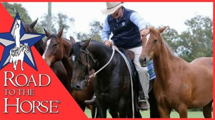 Renowned Australian Horseman: Des Harrington's Legacy