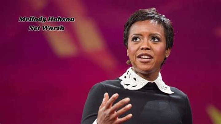 Renowned Leader And Visionary: A Profile Of Mellody Hobson