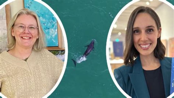 Talk To The Expert: Sydney Bernard