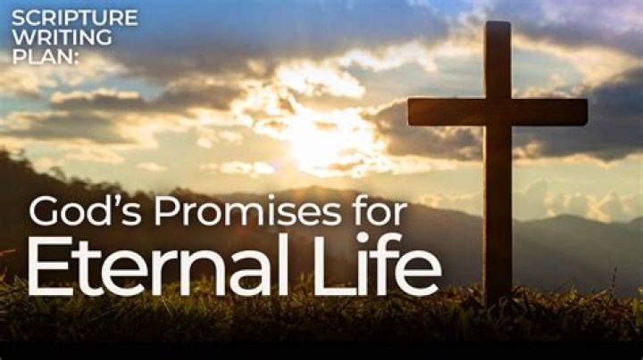 The Promise Of Eternal Love: Unforgettable Quotes About Enduring Devotion