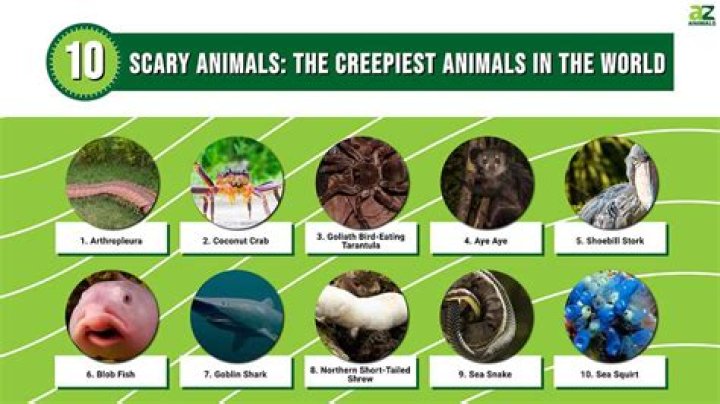 The Spookiest Secrets: Uncovering The Creepiest Things In The World
