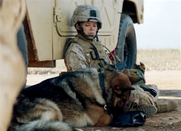 The Unbreakable Bond: Megan Leavey And Marine Dog Marry Morales