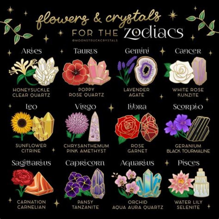 The Unforgettable Sagittarius Flower: A Guide To Its Meaning And Benefits