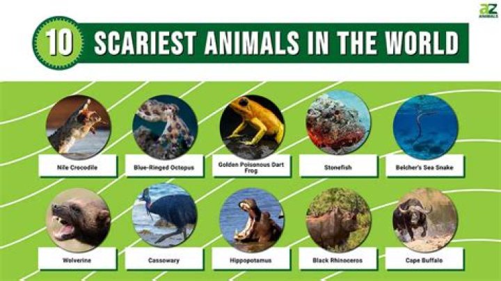 The Utterly Scariest Animals That Will Make Your Spine Shiver