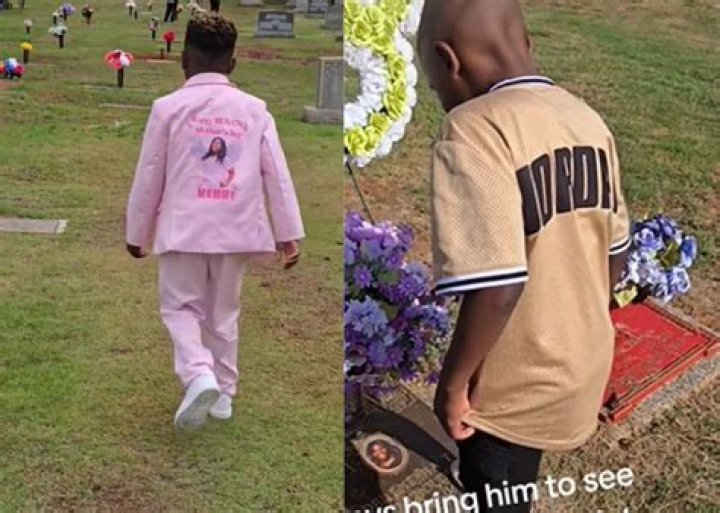 The Viral Reddit Video: Young Boy's Heartbreaking Encounter With His Mother