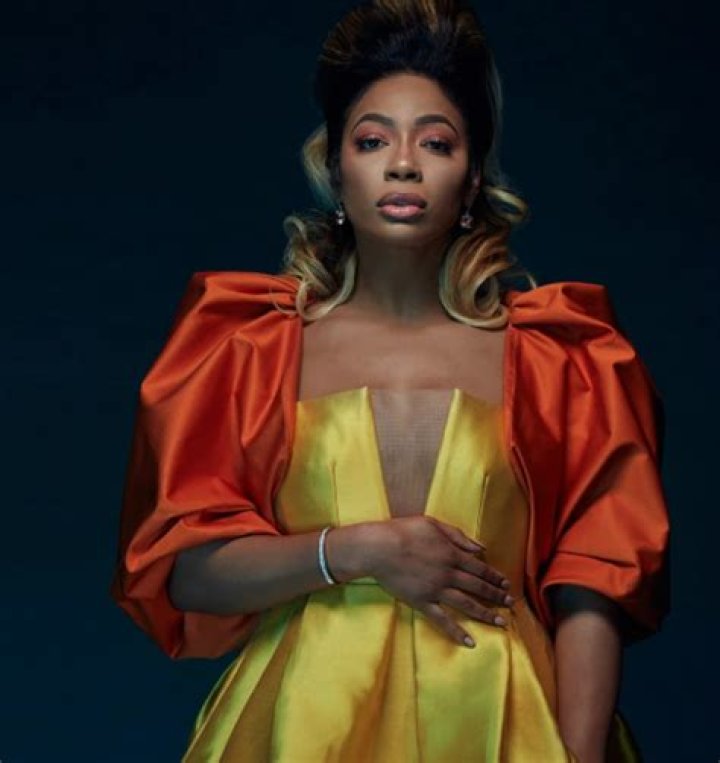 Tommie Lee: A Legendary Musician And Reality Star