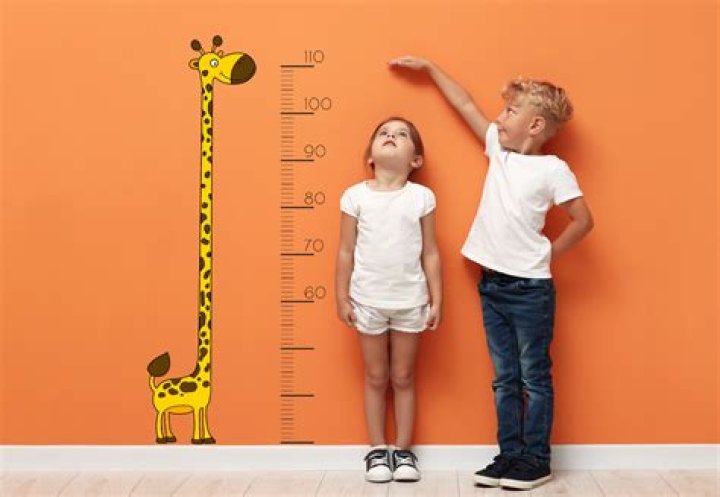 Tyla Height: The Definitive Guide To Her Measurements