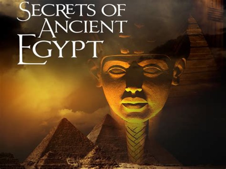 Uncover The Secrets Of Tarayummy: The Ultimate Age Guide
