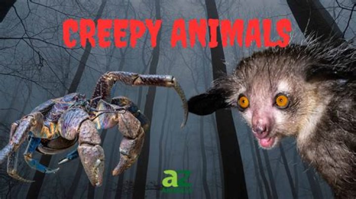 Unleash The Spine-Chilling: The Scariest Things You'll Ever Encounter