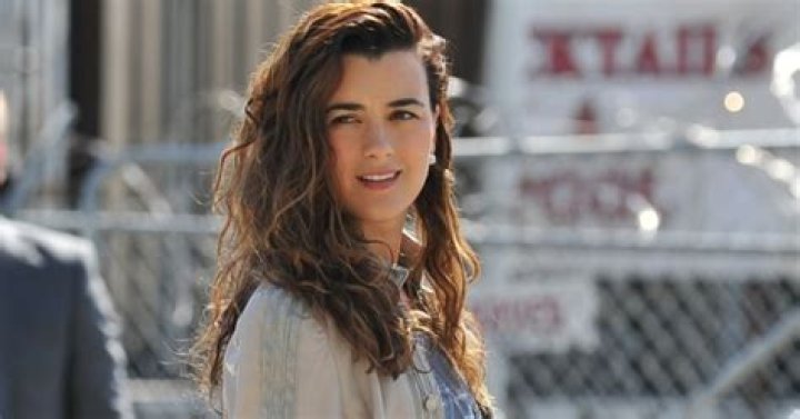 Unlocking The Truth: Cote De Pablo's Marital Status Unveiled
