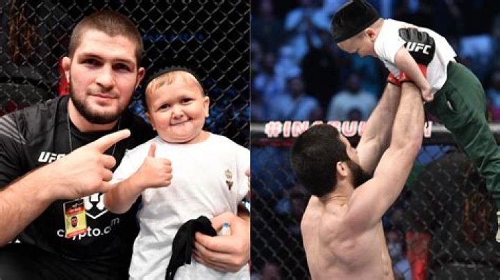 Who Is The Internet Sensation: Hasbulla Magomedov?