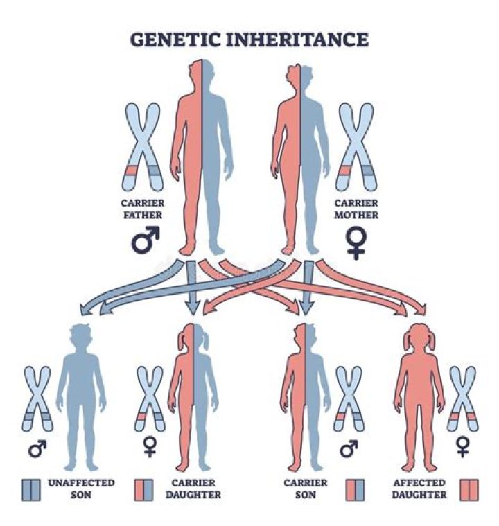 Zach Edey's Father's Impressive Height: A Genetic Inheritance